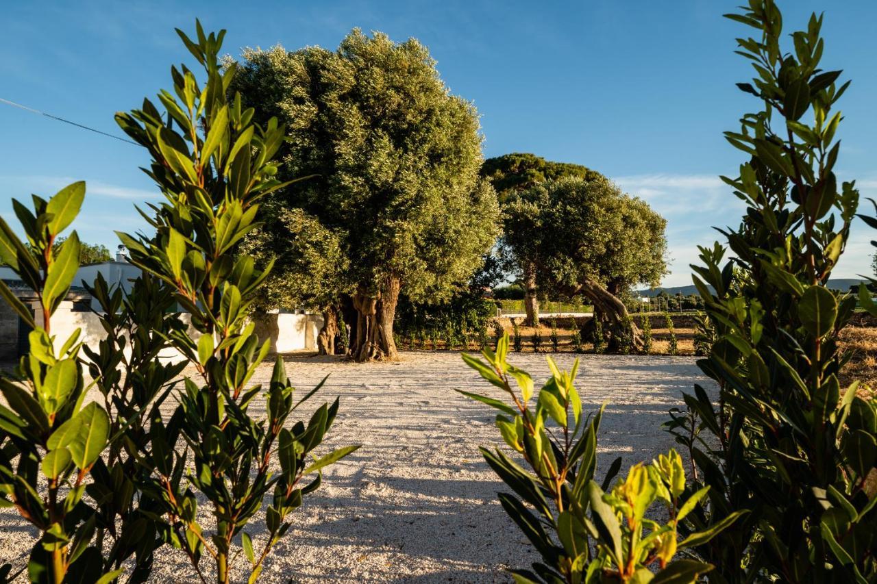 Il Pergolato Sul Mare Villa Monopoli Exterior foto